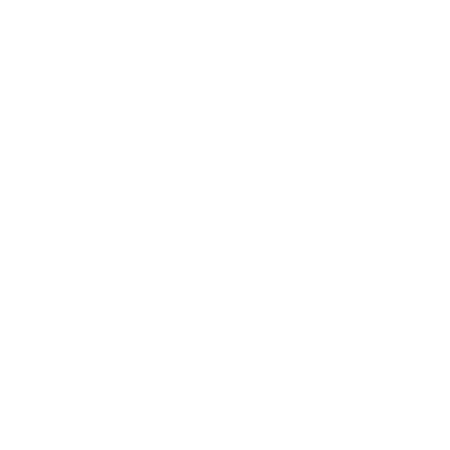 appikon logo