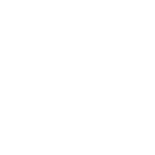 druvstar logo